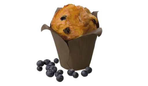 Blueberry Muffin